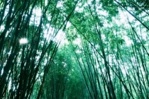 打卡清远网红宝藏民宿