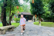 置身丛林的氧气之旅