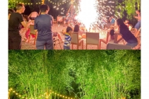 在清远，睡进桃花源里躺床看竹林也太惬意了